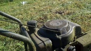 Косилка Champion LMH 5629 обзор после 4 месяцев эксплуатации.