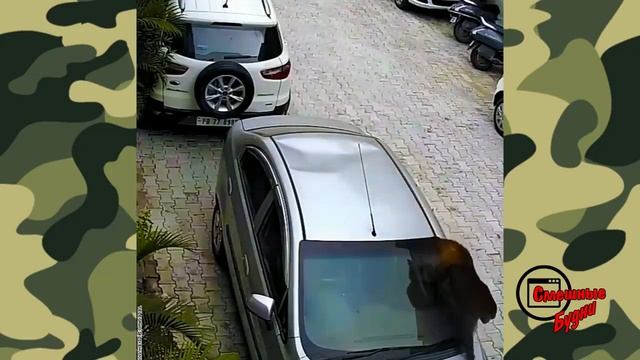 auto jokes смотреть онлайн