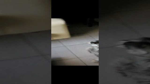 Без названия