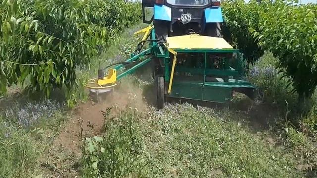 Комбинированный агрегат (мульчирование+вертикальная почвенная фреза). Работа в черешневом саду.) смотреть онлайн