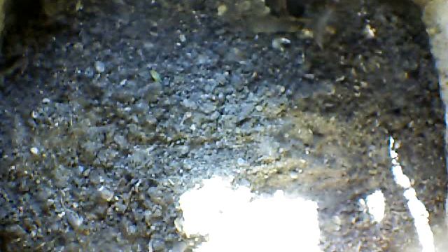 From Internet Camera(Turmfalken[03:1A:A5])2014/07/14,19:07:17_D смотреть онлайн