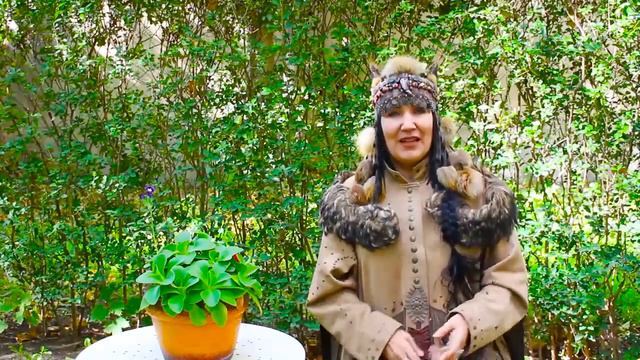🌾 Family lineage diagnostics. 7 signs of ancestral extinction. Lesson 3. Aayla Shaman смотреть онлайн