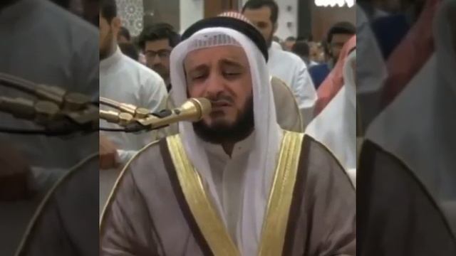 Мишари Рашид смотреть онлайн