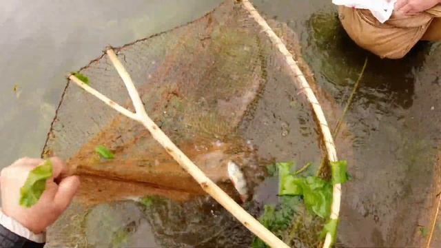 Рыбалка летняя, по тинкам сачком. смотреть онлайн