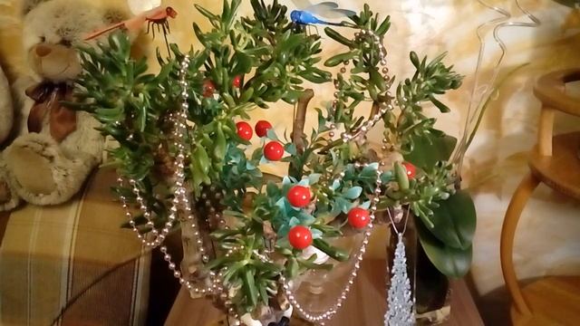 Денежное дерево. ХОББИТ  ГОЛЛУМ или КОРАЛЛ. Приметы.