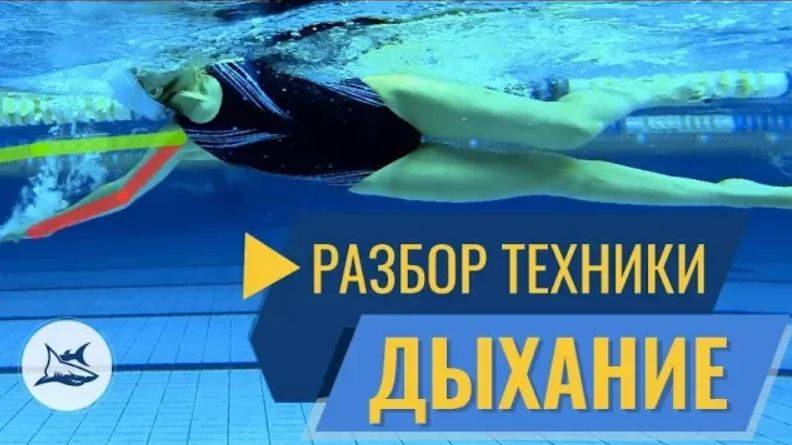 Разбор техники плавания кролем №9. Ошибки на вдохе и в гребке. смотреть онлайн