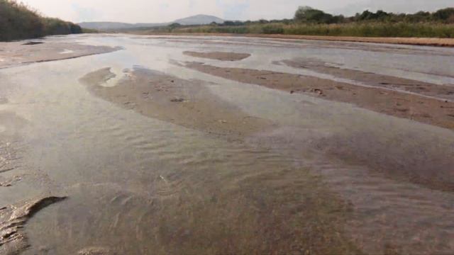 Healing Miracle Tone 432Hz | Positive Vibe | Healing Love Energy Cleanse | Meditation Chillout Musi смотреть онлайн