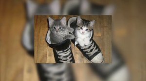 ★speed up☆|ApsenT - Можно я с тобой|♪Постой можно я с тобой?Стой можно я с тобой! С тобой постой!♪