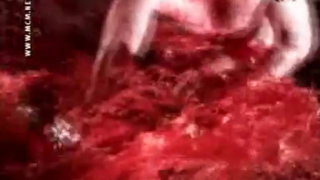 BODY COUNT Born dead смотреть онлайн