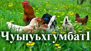 Седакъет Керимова.ЧуьнуьхгумбатI."Квахьай йикъарган"романдай чIук.Онлайн яб гун.КIелзавайди автор я