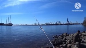 #За корюшкой на Канонерский остров!)))