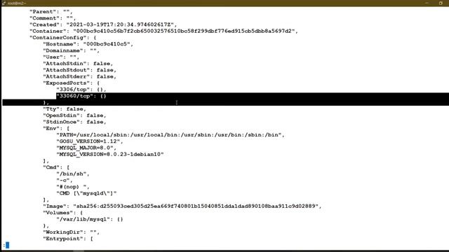 #2 Docker images || Registry || static website using commands || Jr. Eternals смотреть онлайн
