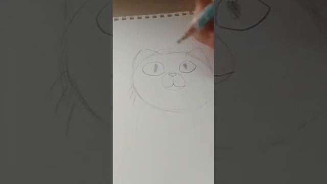 как нарисовать Симбу