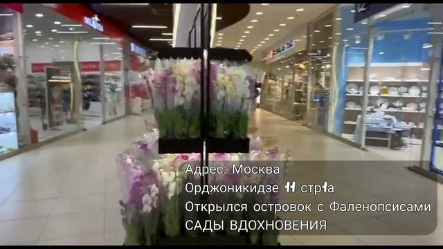 Открытие островка с Фаленопсисами САДЫ ВДОХНОВЕНИЯ смотреть онлайн