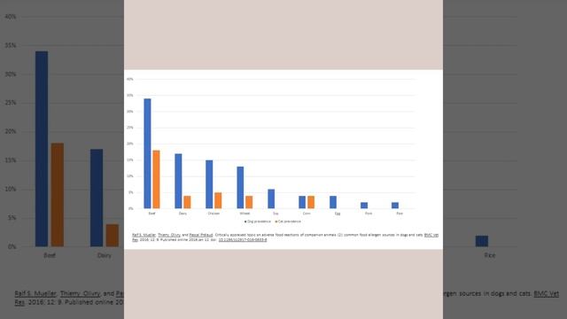 Искусство массажа