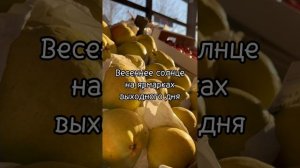 Весеннее солнце #shorts