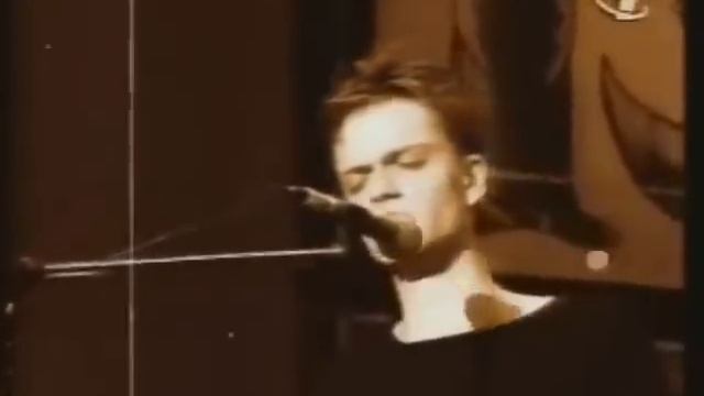 Sting смотреть онлайн