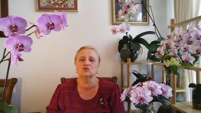 Рецепты от Шеф-повара