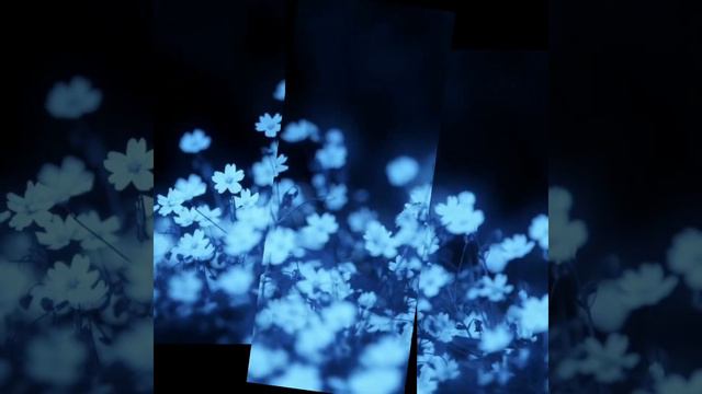 С 8м Марта✨🍉🍦❤💗🤍💫 :0 смотреть онлайн