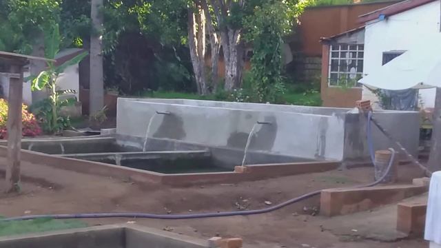 кустарное разведение тилапиикустарное разведение тилапиикустарное разведение тилапии смотреть онлайн