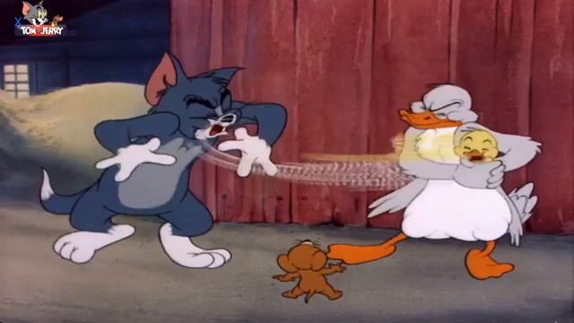 Tom end Jerry - maca dhe mini смотреть онлайн
