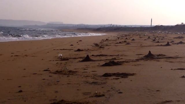 Где живут крабы на пляже? Остров Кешм Qeshm Island قشم Персидский Залив смотреть онлайн
