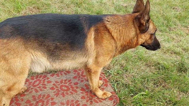 Брут. Пройден 10 уровень команды стоять-5 минут (супер выдержка).