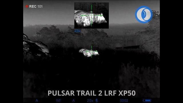 Pulsar Trail 2 LRF XP50