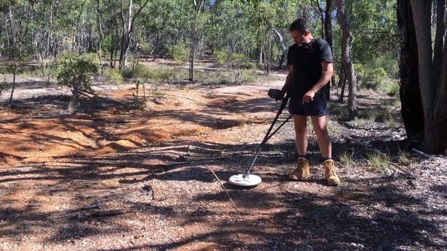 GPX 6000 Vs GPZ 7000 Detector. Detector Depth Test & Reviews. Detector Settings & Modes. #gpx6000
