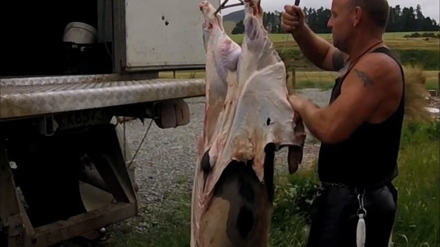 SKINNING A PIG смотреть онлайн