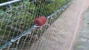 Бредень 17 метров.Ячейка 30мм.