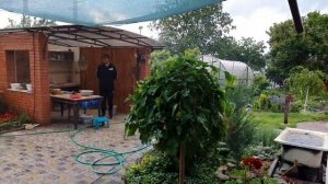 У ВИТАЛИКА В ДОМЕ..КАК ЗДОРОВО