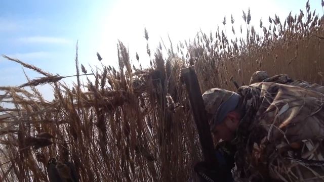 Охота на утку сезон 2021Год смотреть онлайн