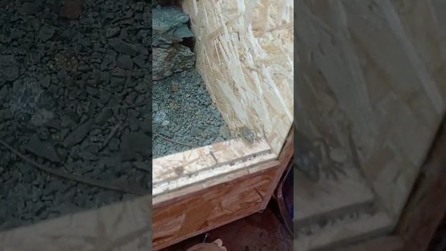 13 мая 2021 г. смотреть онлайн