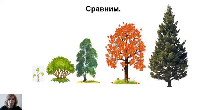5 класс-Русский язык-Степени сравнения имён прилагательных 130520 смотреть онлайн