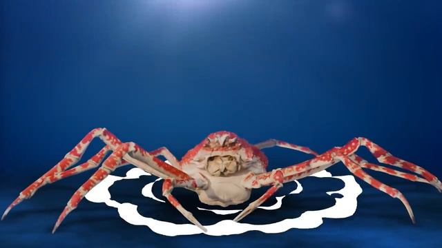 Как Умирают Крабы? смотреть онлайн