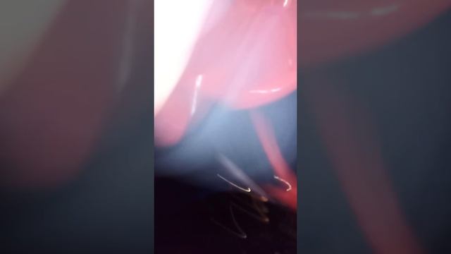 качаемся На качелях смотреть онлайн