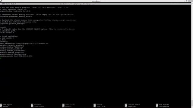 Cómo depurar código en un servidor remoto con PHPStorm + XDebug & DBGP Proxy смотреть онлайн