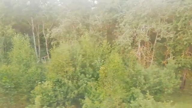 Поезд Гомель - Кленки - Гомель г. Гомель.