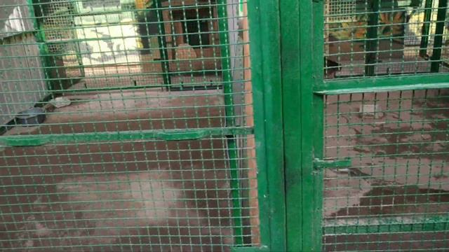 Зоопарк. г. Белицкое.