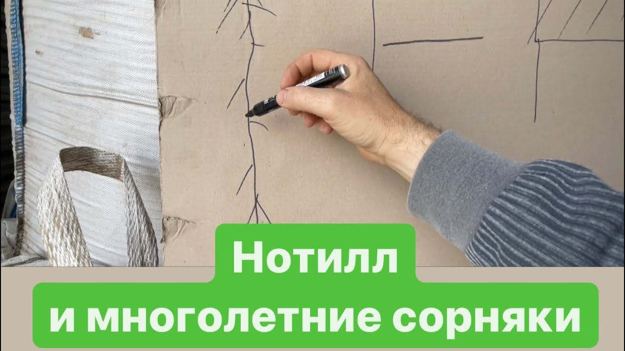 Но-тилл. Многолетние сорняки, мой опыт. полезная информация. смотреть онлайн