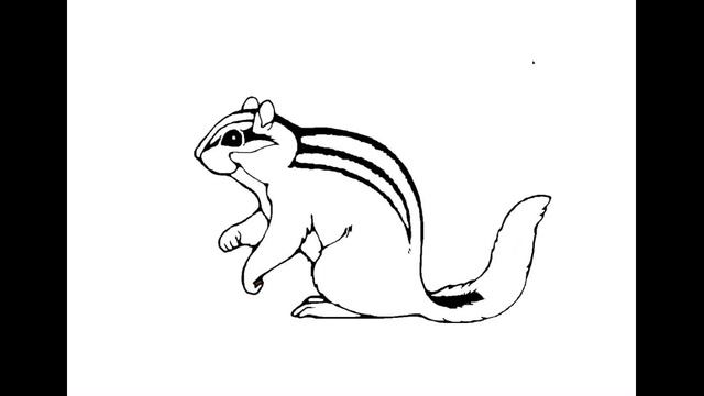 Как нарисовать Бурундука. Раскраска Бурундук для детей смотреть онлайн