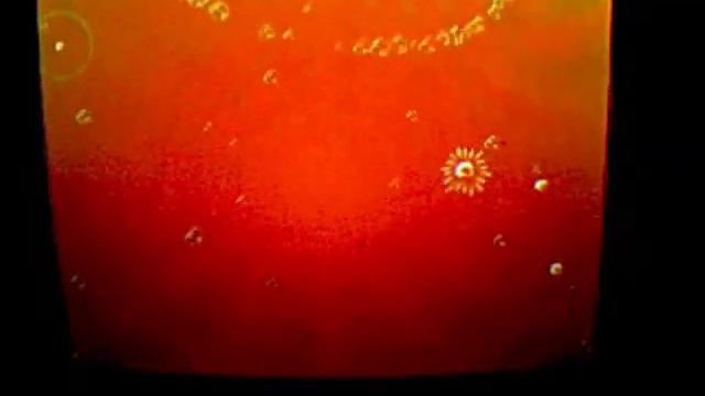 Electroplankton Experiment #2 with PD Pure Data Software смотреть онлайн