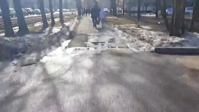 WS Siberia Taiga 2 . Покатушки.