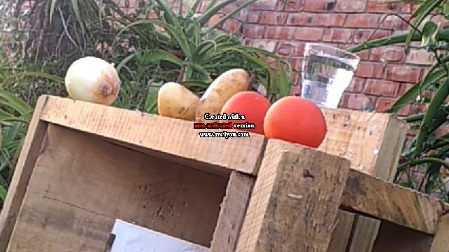 Air Rifle Gamo Socom slow speed water cups at 25m смотреть онлайн