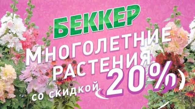 Восхитительные многолетники! -20% на все сорта. Многолетние цветы Весна 2021 | 400 сортов на выбор! смотреть онлайн