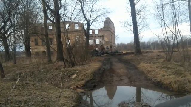 Уборка мусора в Красном Селе СПб смотреть онлайн