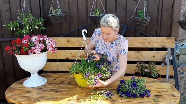 Обрезка ПЕТУНИИ, что как когда, советы и опыт Ани смотреть онлайн