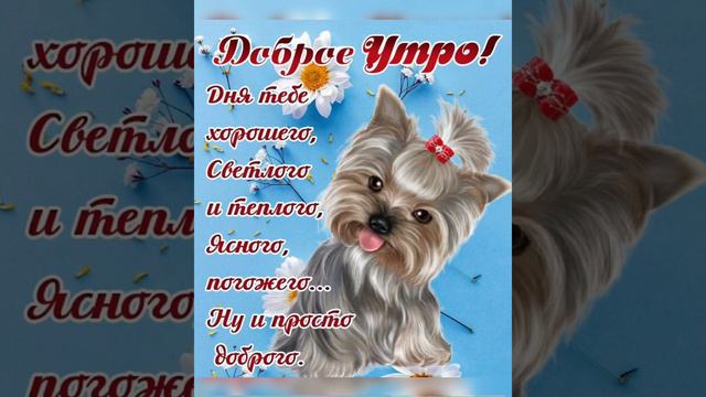 Доброе утро ☀️ Пусть утро будет добрым, а день солнечным 🌸🌸🌸 смотреть онлайн
