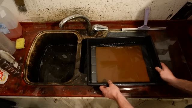 A monster tree as an ambrotype, as a carbon process and albumen print processes смотреть онлайн